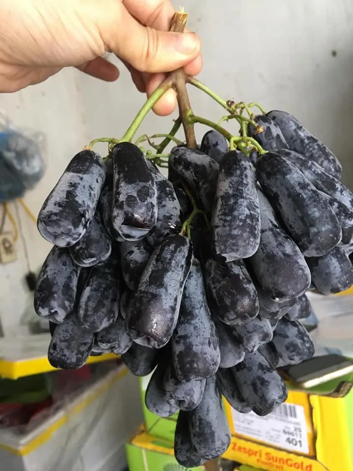 Thực phẩm Mỹ ồ ạt về Việt Nam - Ảnh 1. Thực phẩm Mỹ ồ ạt về Việt Nam - Ảnh 1.