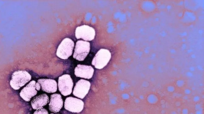 Nổ cơ sở nghiên cứu chứa virus chết người tại Nga - Ảnh 1. Nổ cơ sở nghiên cứu chứa virus chết người tại Nga - Ảnh 1.