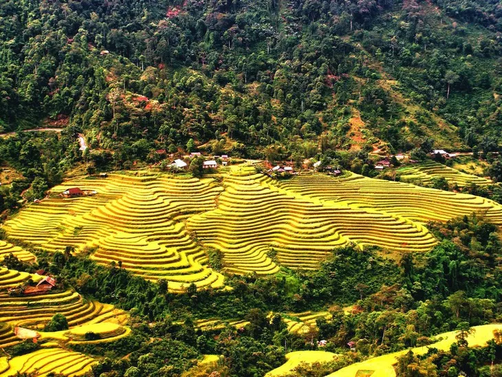 Ngỡ ngàng vẻ đẹp ruộng bậc thang Hoàng Su Phì mùa lúa chín - Ảnh 2.