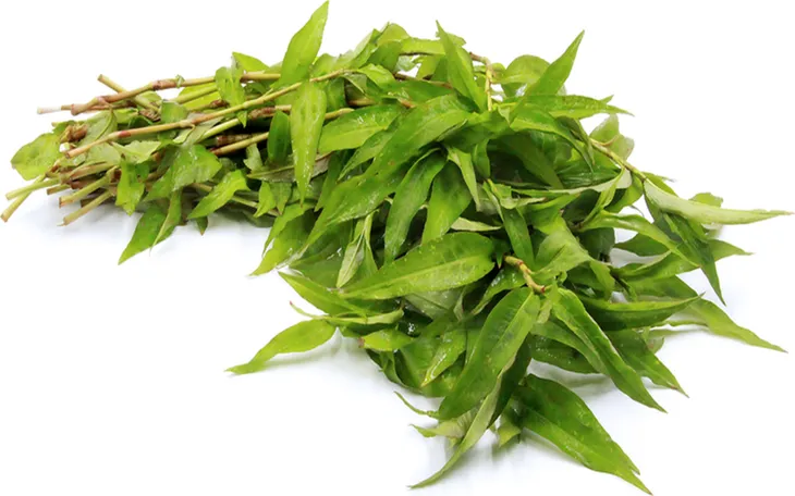 Thực phẩm mà phụ nữ đang mang thai không nên ăn - Ảnh 4. Thực phẩm mà phụ nữ đang mang thai không nên ăn - Ảnh 4.