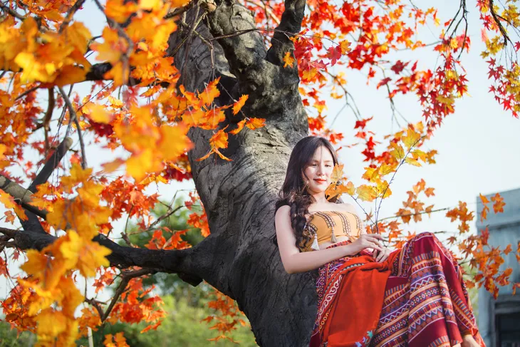 Ngắm hàng cây phong lá đỏ lãng mạn như trong phim Hàn tại Hà Nội - Ảnh 11. Ngắm hàng cây phong lá đỏ lãng mạn như trong phim Hàn tại Hà Nội - Ảnh 11.
