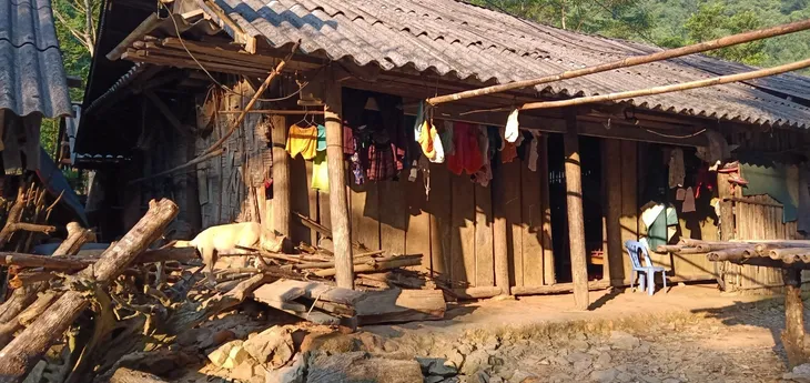 Ngã từ trên cao, bé gái  bị cành cây đâm thủng trực tràng, đứt ruột non - Ảnh 1.