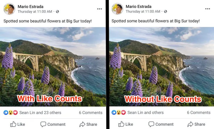 Tin buồn cho người thích sống ảo: Facebook bắt đầu thử nghiệm ẩn số lượt Like - Ảnh 1. Tin buồn cho người thích sống ảo: Facebook bắt đầu thử nghiệm ẩn số lượt Like - Ảnh 1.