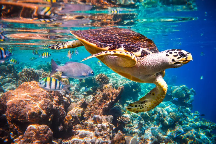 Hảo Hảo bật mí bí quyết để bạn và người thương đu đưa Maldives thuận lợi - Ảnh 1. Hảo Hảo bật mí bí quyết để bạn và người thương đu đưa Maldives thuận lợi - Ảnh 1.