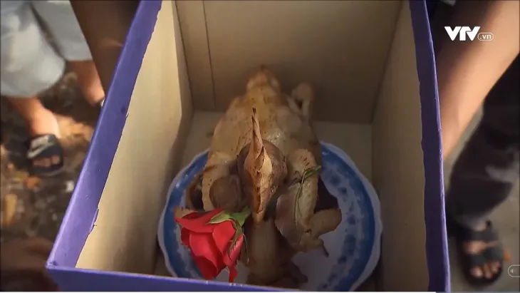 Cô gái nhà người ta: Phì cười màn trai quê mang gà ngậm hoa hồng đi tỏ tình - Ảnh 4. Cô gái nhà người ta: Phì cười màn trai quê mang gà ngậm hoa hồng đi tỏ tình - Ảnh 4.
