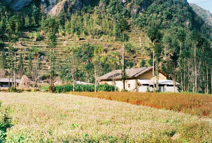 Sắc vàng hoa cải sưởi ấm Hà Giang ngày đông - Ảnh 6. Sắc vàng hoa cải sưởi ấm Hà Giang ngày đông - Ảnh 6.