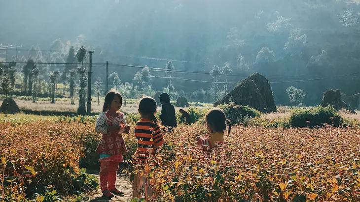 Sắc vàng hoa cải sưởi ấm Hà Giang ngày đông - Ảnh 8. Sắc vàng hoa cải sưởi ấm Hà Giang ngày đông - Ảnh 8.