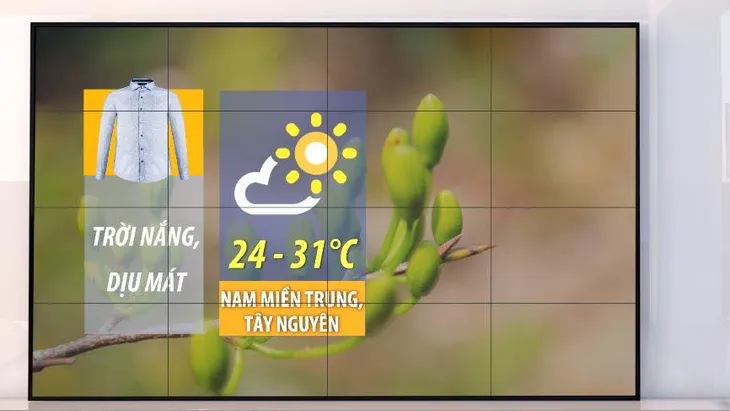 Tết này mặc gì cho hợp thời tiết? - Ảnh 3. Tết này mặc gì cho hợp thời tiết? - Ảnh 3.