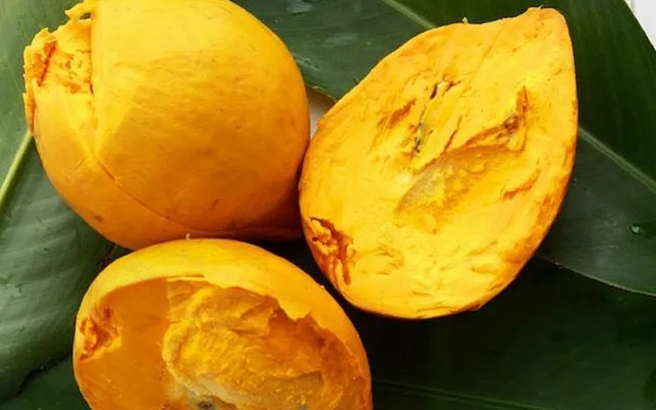 Quả trứng gà và tác dụng tuyệt vời cho sức khỏe - Ảnh 1. Quả trứng gà và tác dụng tuyệt vời cho sức khỏe - Ảnh 1.