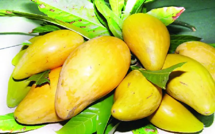 Quả trứng gà và tác dụng tuyệt vời cho sức khỏe - Ảnh 7. Quả trứng gà và tác dụng tuyệt vời cho sức khỏe - Ảnh 7.
