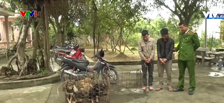 Nghệ An: Bắt nhóm trộm chó mang hung khí nóng - Ảnh 1.