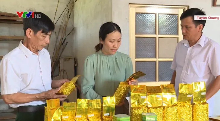 Tuyên Quang đẩy mạnh phát triển nông nghiệp hàng hóa - Ảnh 2. Tuyên Quang đẩy mạnh phát triển nông nghiệp hàng hóa - Ảnh 2.