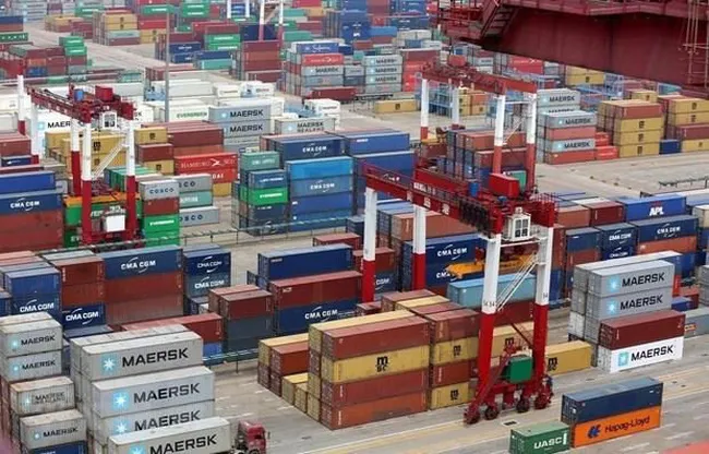 WTO ra mắt cơ sở dữ liệu mới về cấp phép nhập khẩu - Ảnh 1. WTO ra mắt cơ sở dữ liệu mới về cấp phép nhập khẩu - Ảnh 1.