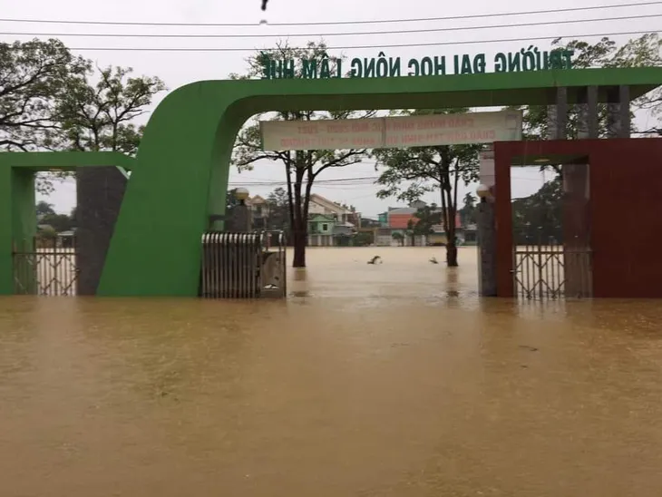 ĐH Huế và ĐH Đà Nẵng được gia hạn thời gian nhập học vì mưa lũ - Ảnh 1. ĐH Huế và ĐH Đà Nẵng được gia hạn thời gian nhập học vì mưa lũ - Ảnh 1.
