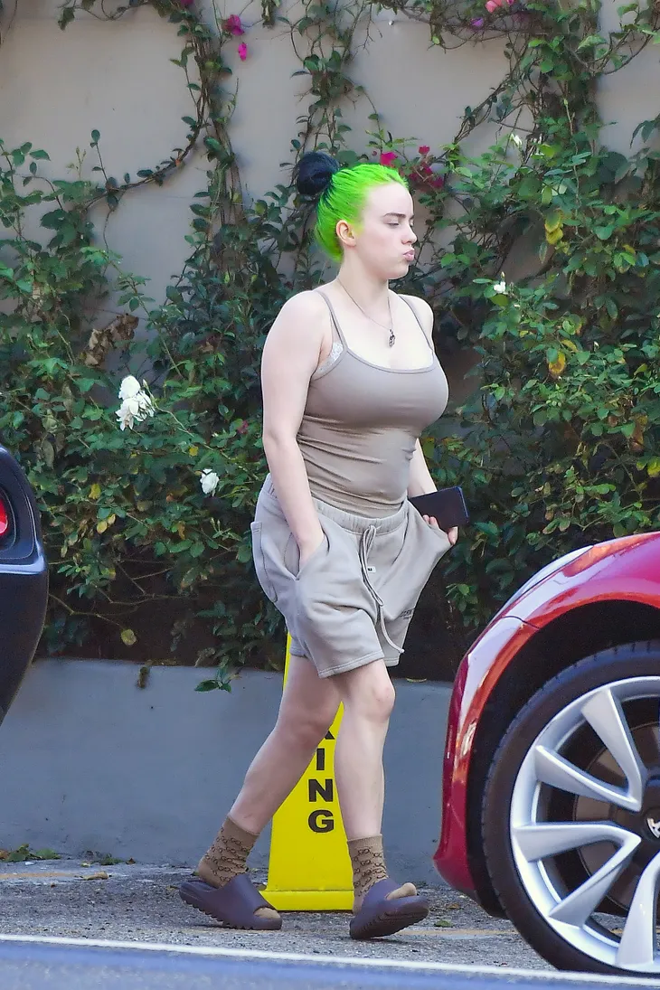 Bị soi mói về ngoại hình, Billie Eilish đáp trả - Ảnh 1. Bị soi mói về ngoại hình, Billie Eilish đáp trả - Ảnh 1.