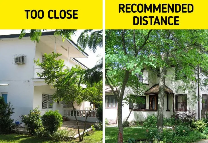 Làm việc nhà không đúng cách có thể hủy hoại sức khỏe của bạn - Ảnh 5. Làm việc nhà không đúng cách có thể hủy hoại sức khỏe của bạn - Ảnh 5.