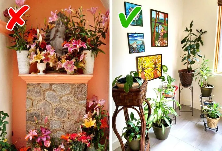 Làm việc nhà không đúng cách có thể hủy hoại sức khỏe của bạn - Ảnh 9. Làm việc nhà không đúng cách có thể hủy hoại sức khỏe của bạn - Ảnh 9.