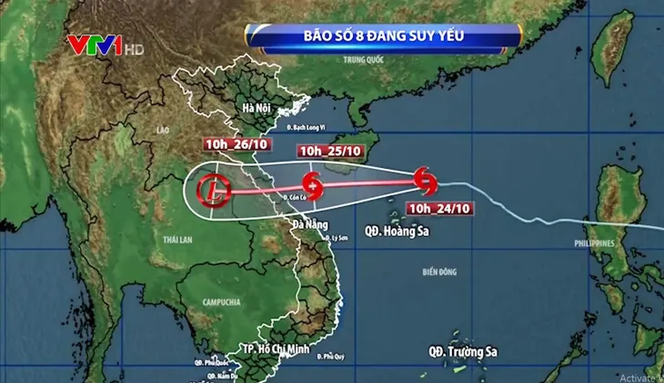 bao-so-8-1