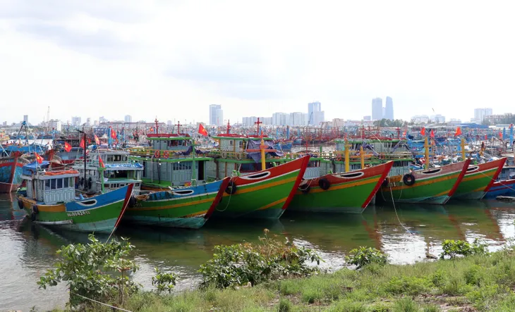 Người dân Đà Nẵng đổ xô mua đồ phòng, chống bão số 9 - Ảnh 2. Người dân Đà Nẵng đổ xô mua đồ phòng, chống bão số 9 - Ảnh 2.