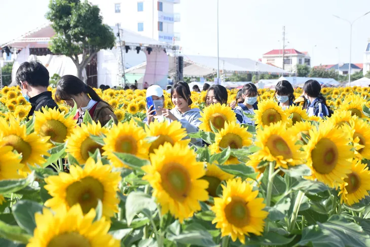 Vườn hướng dương 26.000 bông mở cửa miễn phí đón khách - Ảnh 11.