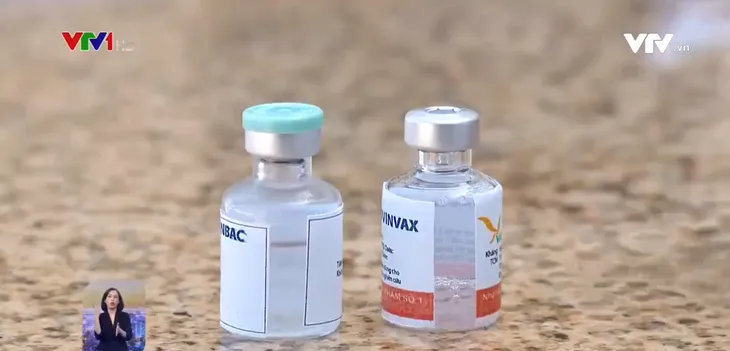 Việt Nam thử nghiệm vaccine COVID-19 trên khỉ - Ảnh 1. Việt Nam thử nghiệm vaccine COVID-19 trên khỉ - Ảnh 1.