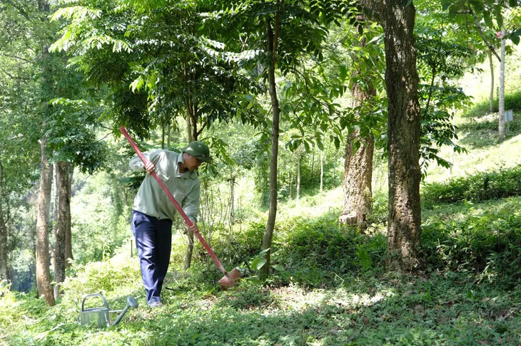 Sản xuất cao su thiên nhiên có chứng chỉ bền vững: Xu hướng thời đại - Ảnh 2. Sản xuất cao su thiên nhiên có chứng chỉ bền vững: Xu hướng thời đại - Ảnh 2.