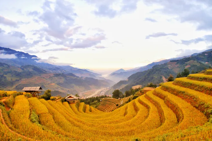 Mù Căng Chải cuối mùa lúa chín - Ảnh 2. Mù Căng Chải cuối mùa lúa chín - Ảnh 2.