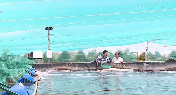 Tạo sinh kế, làm giàu từ con tôm - Ảnh 1. Tạo sinh kế, làm giàu từ con tôm - Ảnh 1.