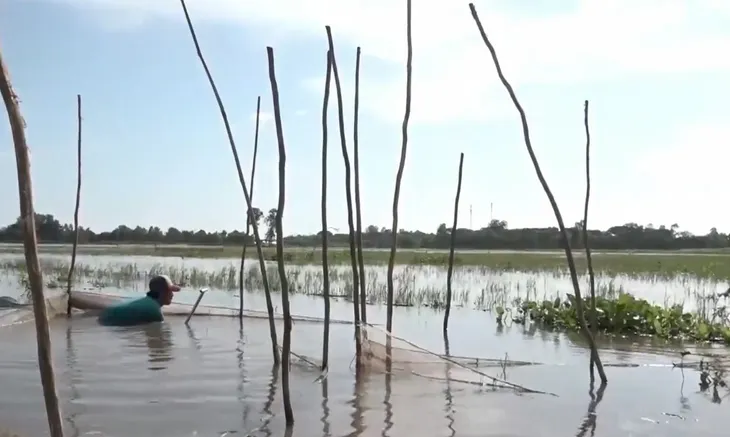 Cuộc sống không lũ - Thay đổi hay chờ đợi? - Ảnh 1. Cuộc sống không lũ - Thay đổi hay chờ đợi? - Ảnh 1.