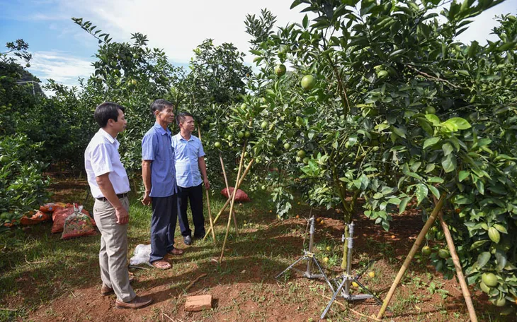 Từ bán ngô, bán sắn đến “hiện tượng Sơn La - Ảnh 1. Từ bán ngô, bán sắn đến “hiện tượng Sơn La - Ảnh 1.