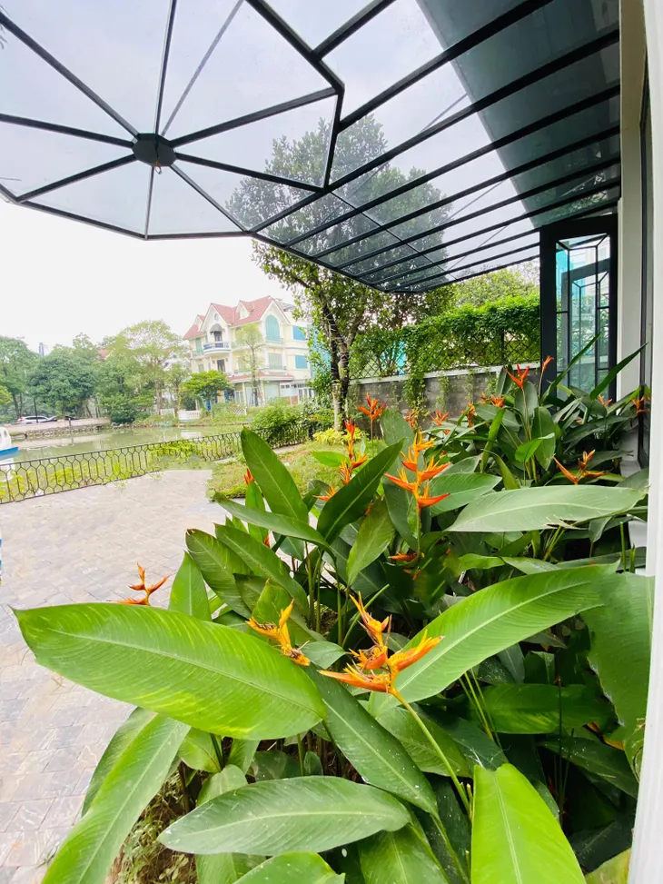 Lã Thanh Huyền khoe không gian sống sang trọng, ngập tràn cây xanh - Ảnh 1. Lã Thanh Huyền khoe không gian sống sang trọng, ngập tràn cây xanh - Ảnh 1.