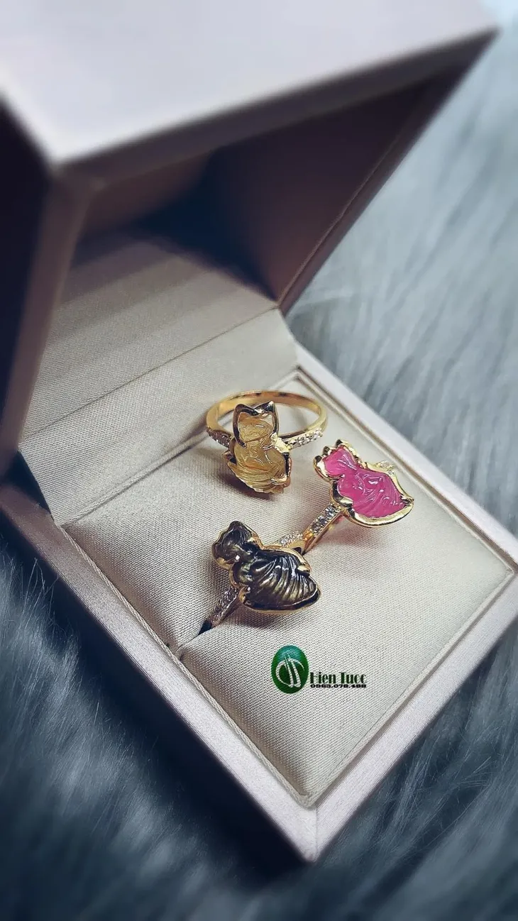 Ghé Phạm Thu Hiền mua đá phong thủy xịn - Ảnh 3.
