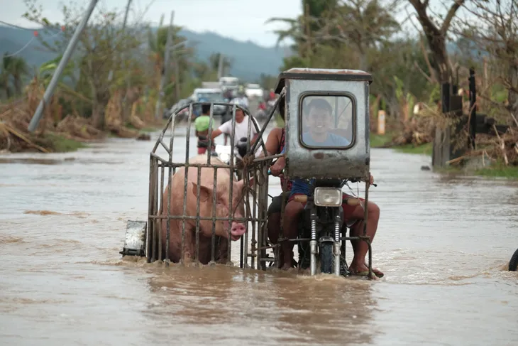 Nhiều vùng tại Philippines vẫn ngập sâu dù bão Vamco đã tan - Ảnh 3. Nhiều vùng tại Philippines vẫn ngập sâu dù bão Vamco đã tan - Ảnh 3.