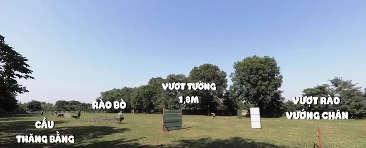 Hành trình chinh phục Army Games 2020 của đội HLV và chó nghiệp vụ Việt Nam - Ảnh 2. Hành trình chinh phục Army Games 2020 của đội HLV và chó nghiệp vụ Việt Nam - Ảnh 2.