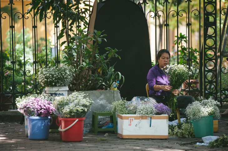 Cúc họa mi ngập tràn phố phường Hà Nội, giá tăng vì khan hàng - Ảnh 10.
