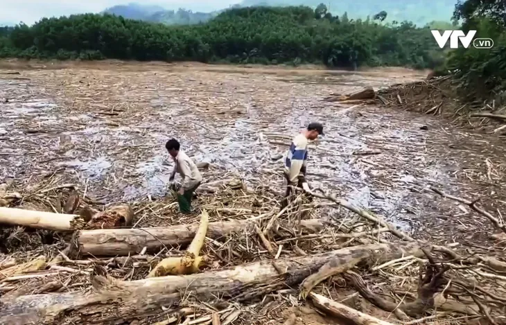 Bất chấp nguy hiểm, người dân vẫn tranh thủ vớt gỗ, đánh cá trong mùa lũ - Ảnh 1.