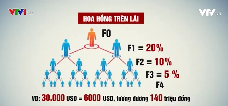 Sự thật đằng sau gói đầu tư ngồi chơi, lấy lãi của King of Invest? - Ảnh 1. Sự thật đằng sau gói đầu tư ngồi chơi, lấy lãi của King of Invest? - Ảnh 1.