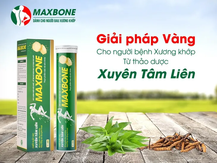 Viên sủi MaxBone - Sự kết tinh hoàn hảo từ cây xuyên tâm liên cùng công nghệ nano hướng đích - Ảnh 2. Viên sủi MaxBone - Sự kết tinh hoàn hảo từ cây xuyên tâm liên cùng công nghệ nano hướng đích - Ảnh 2.
