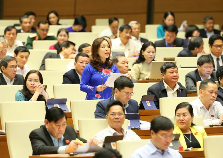 Cần coi phát triển lâm nghiệp là giải pháp quan trọng giảm thiểu thiệt hại do thiên tai - Ảnh 2. Cần coi phát triển lâm nghiệp là giải pháp quan trọng giảm thiểu thiệt hại do thiên tai - Ảnh 2.