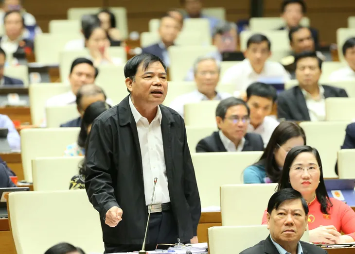 Cần coi phát triển lâm nghiệp là giải pháp quan trọng giảm thiểu thiệt hại do thiên tai - Ảnh 3. Cần coi phát triển lâm nghiệp là giải pháp quan trọng giảm thiểu thiệt hại do thiên tai - Ảnh 3.