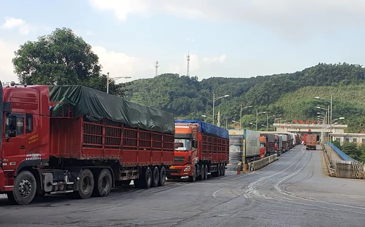 8.500 doanh nghiệp đóng cửa mỗi tháng - Ảnh 2. 8.500 doanh nghiệp đóng cửa mỗi tháng - Ảnh 2.
