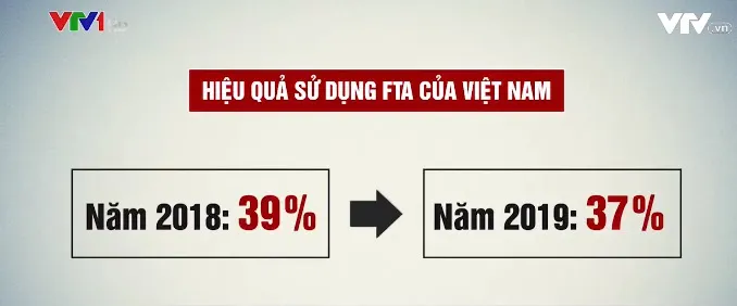 Tham gia nhiều FTA: Việt Nam có lo hiệu ứng tô mì? - Ảnh 1. Tham gia nhiều FTA: Việt Nam có lo hiệu ứng tô mì? - Ảnh 1.