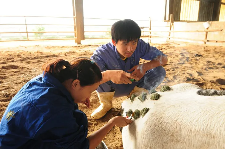 “Để có ly sữa hoàn mỹ, phải mời về những người giỏi nhất!” - Ảnh 4. “Để có ly sữa hoàn mỹ, phải mời về những người giỏi nhất!” - Ảnh 4.
