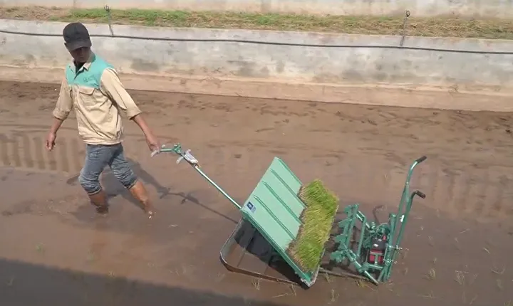 Muôn nẻo khó khăn trong hành trình đăng ký bản quyền sáng chế - Ảnh 1.