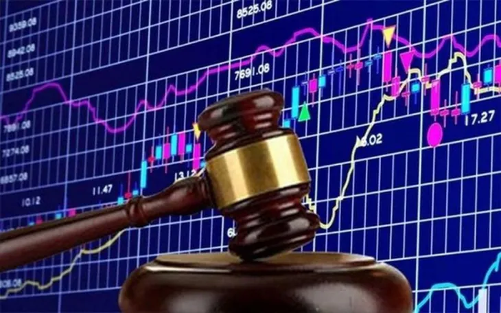Ủy ban Chứng khoán xử phạt hàng loạt doanh nghiệp - Ảnh 1. Ủy ban Chứng khoán xử phạt hàng loạt doanh nghiệp - Ảnh 1.