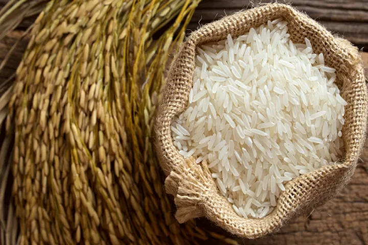 Người Pháp tại Bỉ muốn ăn gạo ST24, đến mục tiêu tự cường trên Đại lộ hội nhập của Việt Nam - Ảnh 1. Người Pháp tại Bỉ muốn ăn gạo ST24, đến mục tiêu tự cường trên Đại lộ hội nhập của Việt Nam - Ảnh 1.