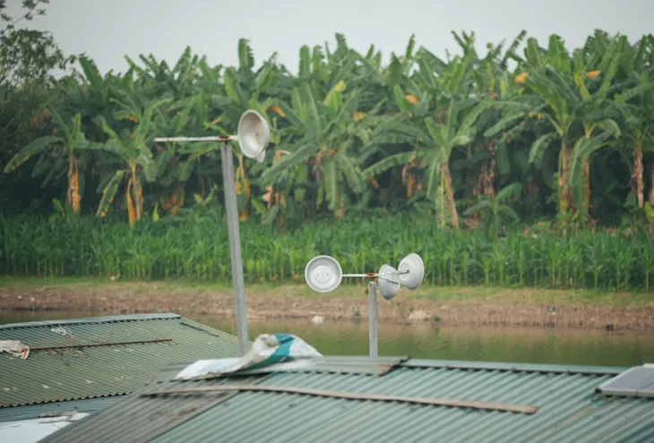 Mùa đông giá buốt nơi xóm ngụ cư ở bãi giữa sông Hồng - Ảnh 12. Mùa đông giá buốt nơi xóm ngụ cư ở bãi giữa sông Hồng - Ảnh 12.