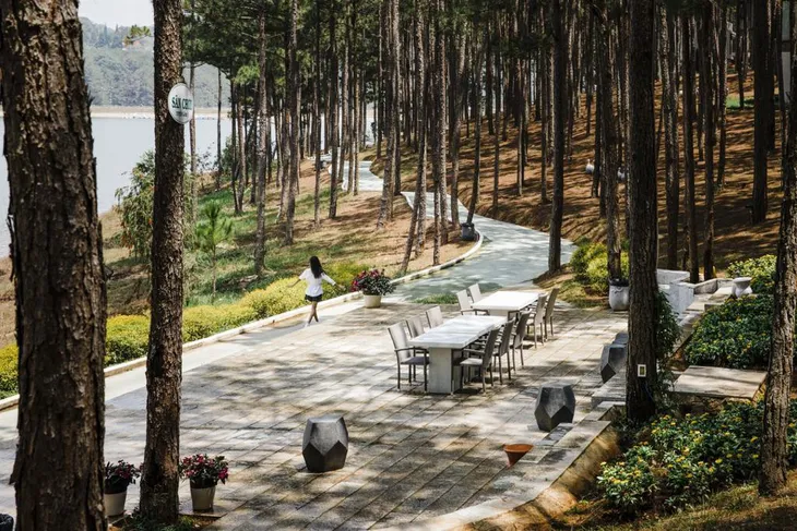 Đà Lạt, Phú Quốc, Sa Pa là top 3 điểm đến của du khách Việt Nam dịp năm mới 2021 - Ảnh 1. Đà Lạt, Phú Quốc, Sa Pa là top 3 điểm đến của du khách Việt Nam dịp năm mới 2021 - Ảnh 1.
