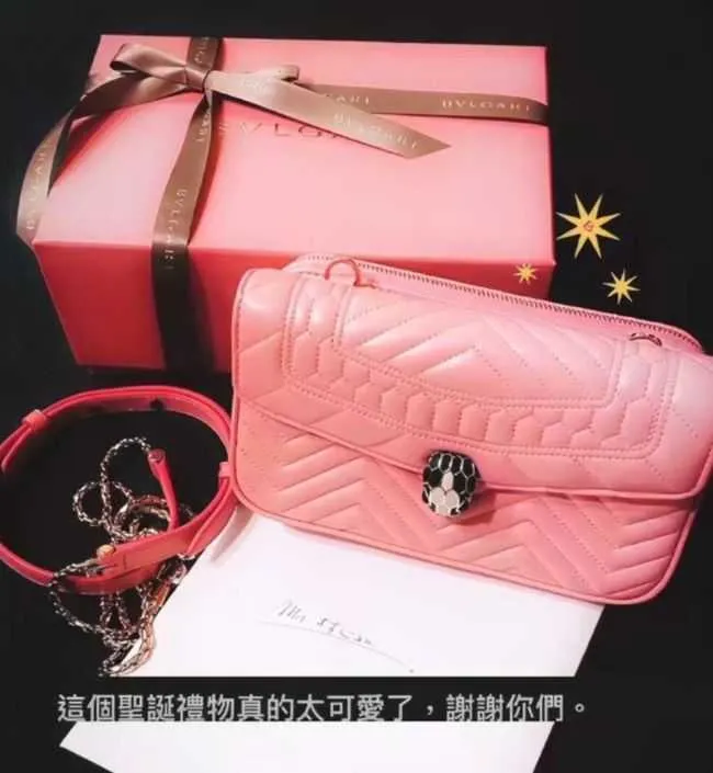 Lâm Tâm Như phủ nhận chi cả đống tiền mua túi Bulgari cho con gái - Ảnh 1. Lâm Tâm Như phủ nhận chi cả đống tiền mua túi Bulgari cho con gái - Ảnh 1.