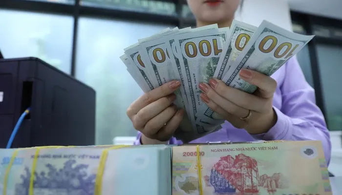 Ngân hàng Nhà nước thêm nhiều giải pháp để ổn định tỷ giá - Ảnh 1. Ngân hàng Nhà nước thêm nhiều giải pháp để ổn định tỷ giá - Ảnh 1.